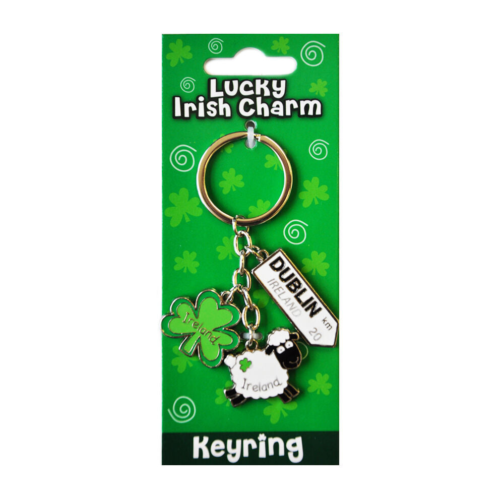 Irish Sheep Style Charm With Dublin Road Sign Keyring