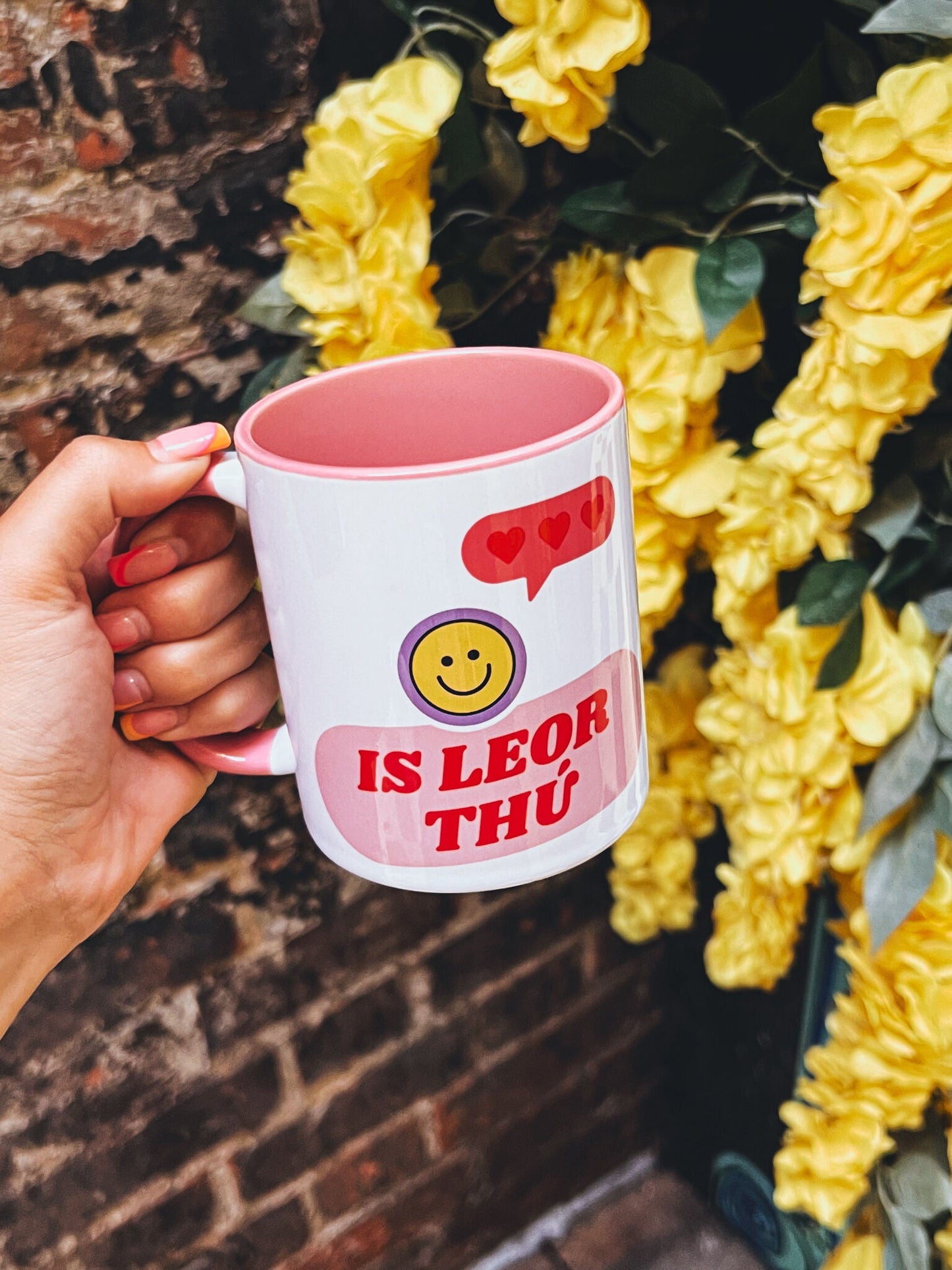 Is Leor Thú Mug