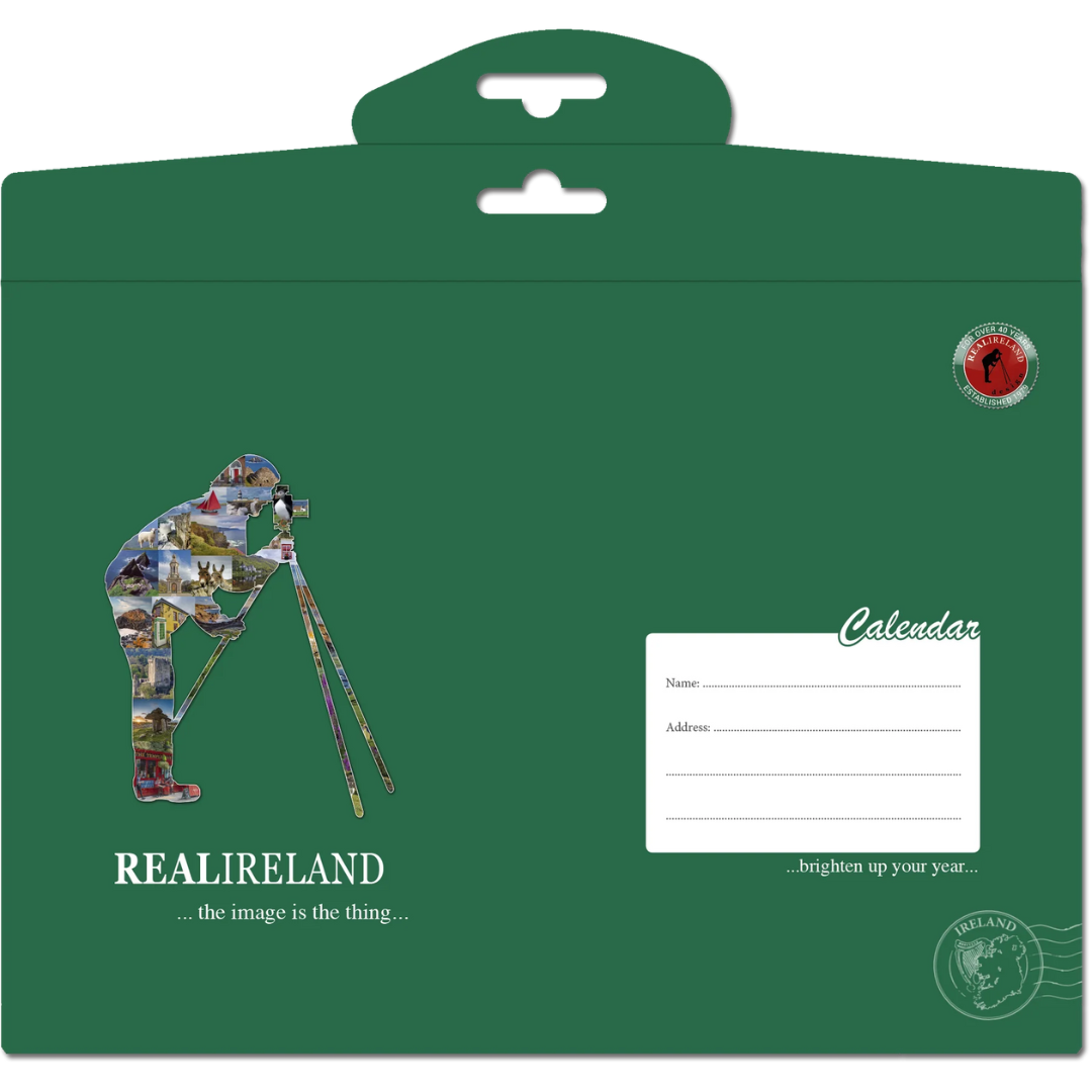 Wild Ireland Birds Eye View A4 Calendar 2026
