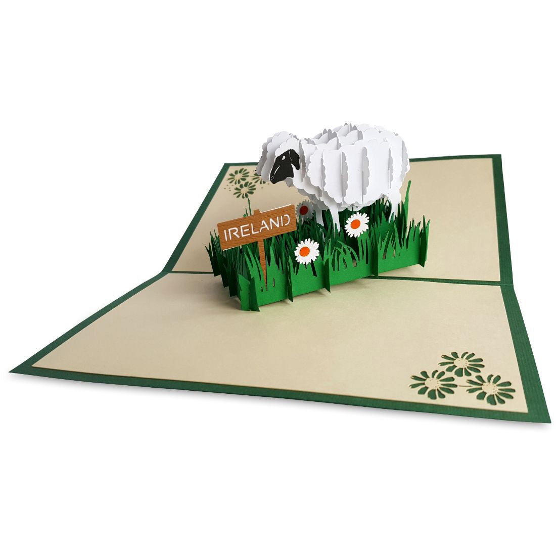 Green pop up greeting card with a white sheep in tall grass and an Ireland sign