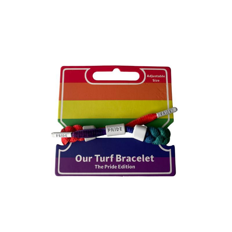 Pride Rainbow Plaited Bracelet