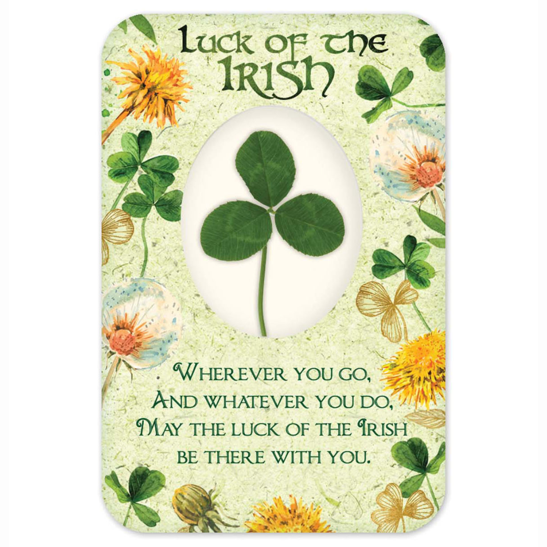 Shamrock Luck Of The Irish Blessings Card