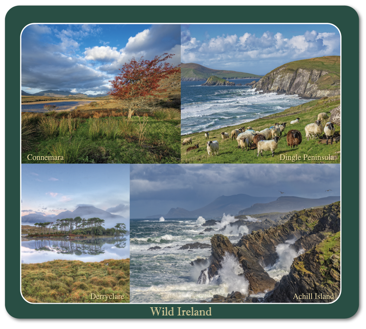 Wild Ireland Image Table Coasters