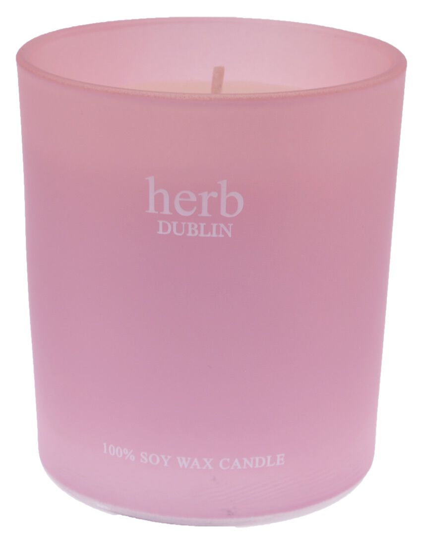 Rhubarb & Fresh Garden Mint Boxed Candle