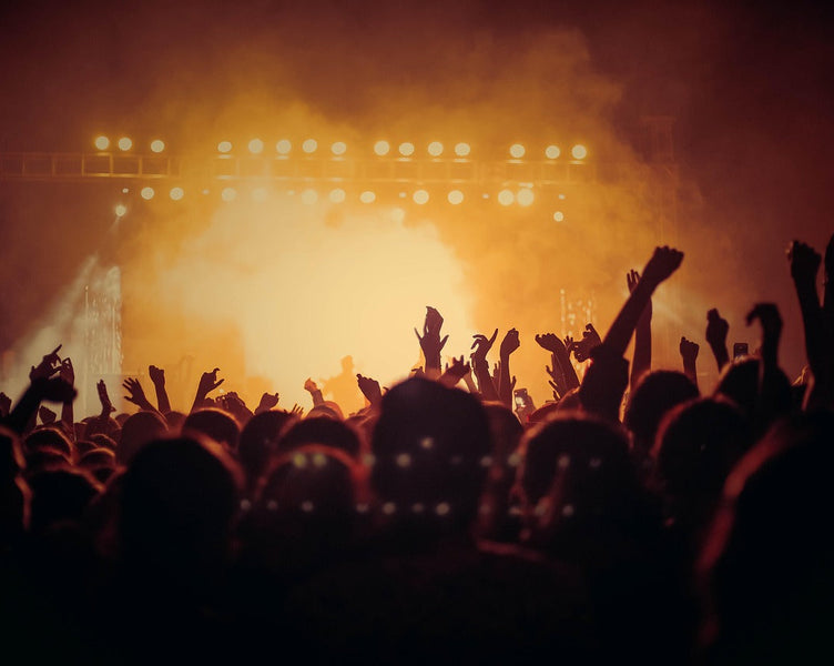 Crowd dancing at concert 