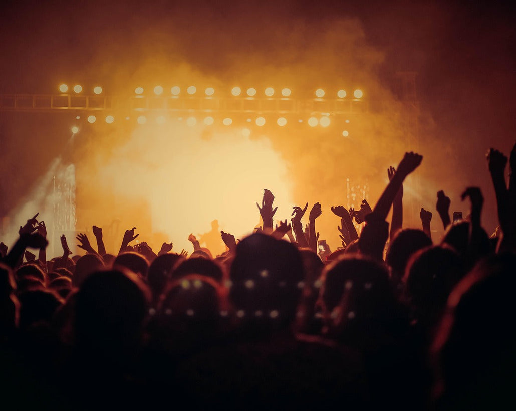 Crowd dancing at concert 