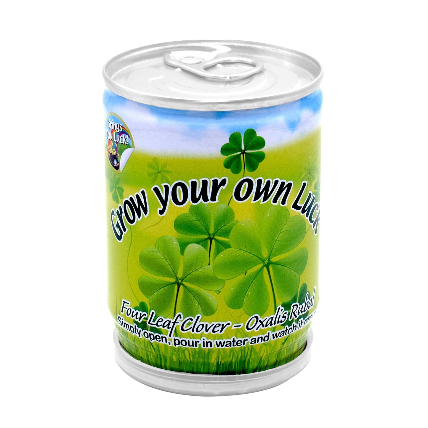 Grow Your Own Clover Plan In A Tin