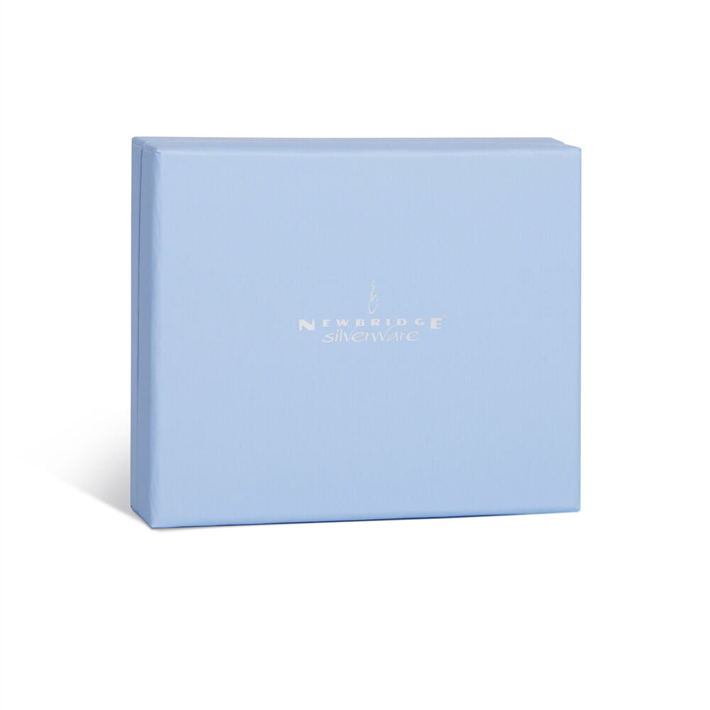 Newbridge Silver Rhodium Plated Elephant Money Bank