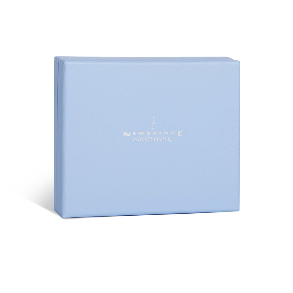 Newbridge Silverware Silver Plated Jewellery Box 