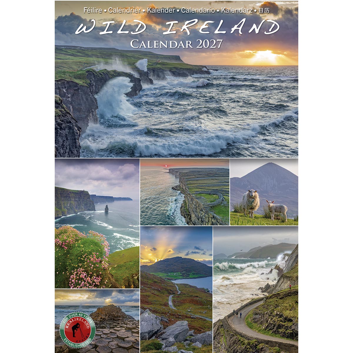 Wild Ireland Scenic Views Slim Calendar 2027 cover featuring a tall coastal landscape at the top and a collage of rural scenes below.