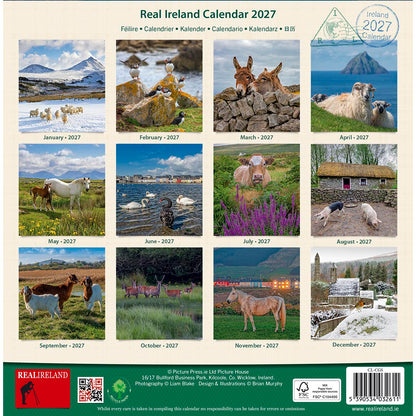 Real Ireland Calendar 2027 front page featuring a grid of monthly photos on a beige background