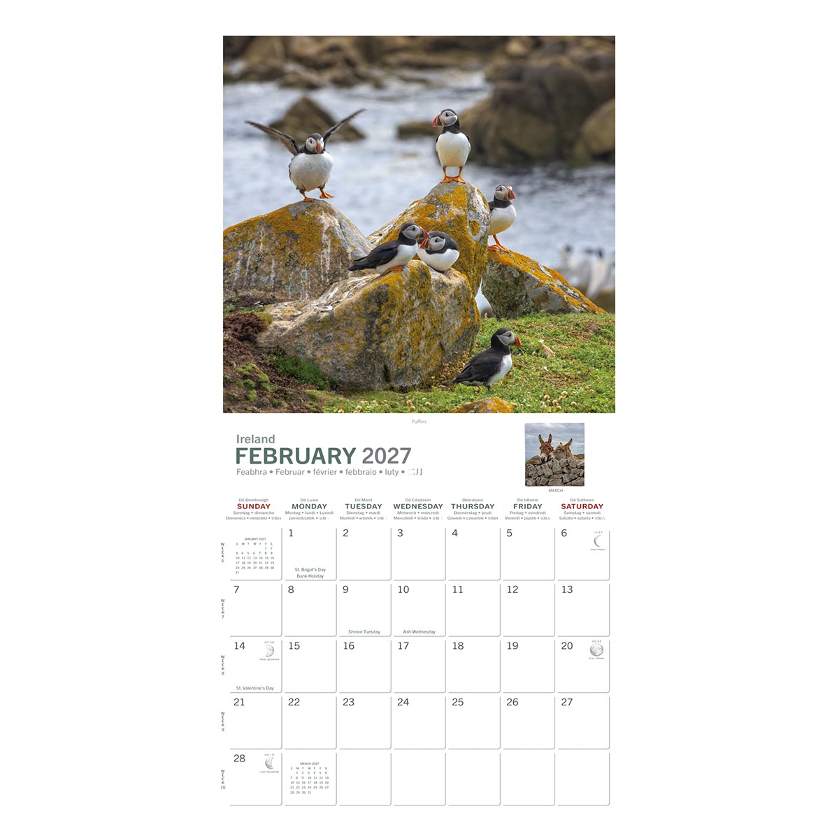 February 2027 calendar page with puffins perched on orange lichen rocks by the sea