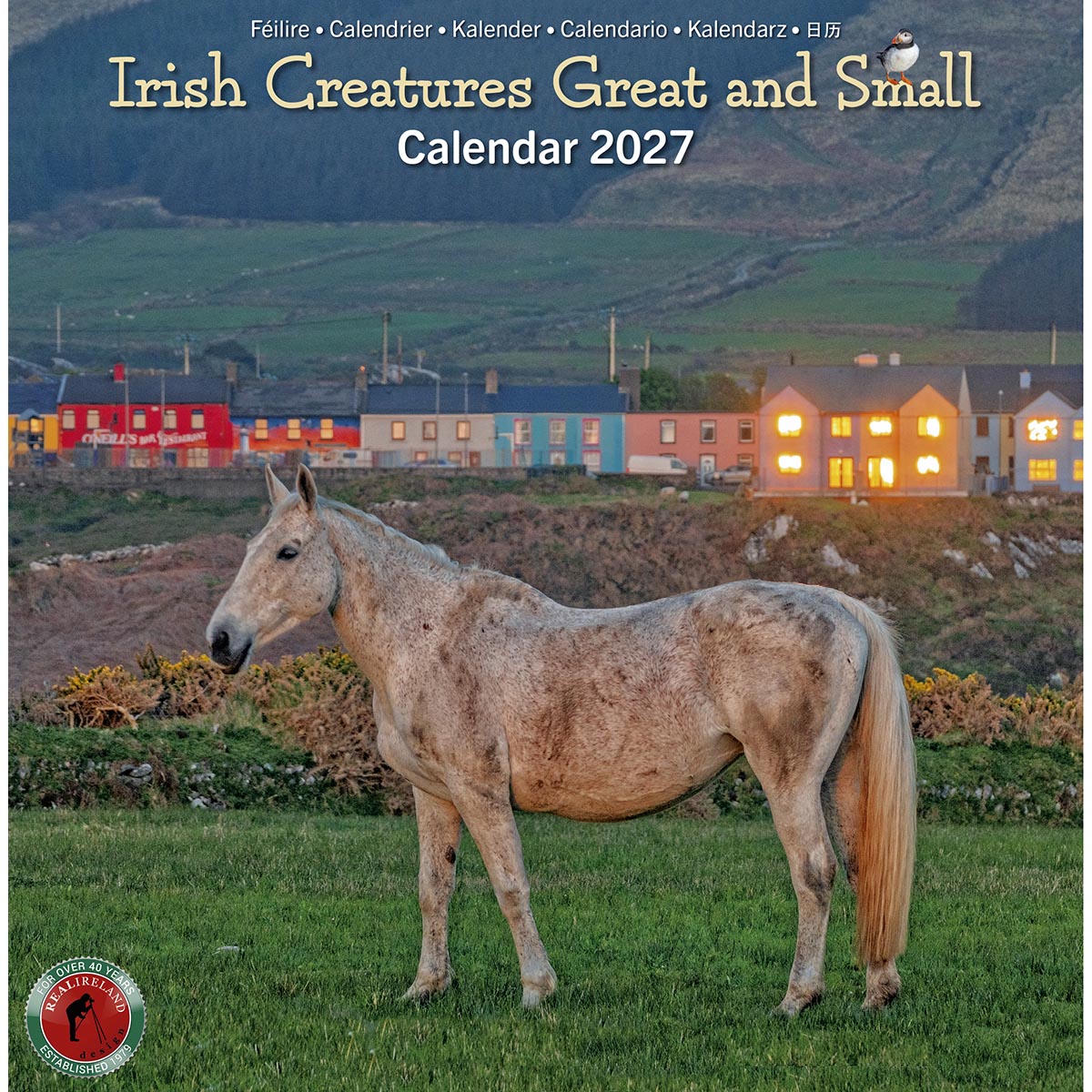 Cover of Irish Creatures Great and Small Calendar 2027 with a grey horse grazing in a green field and a colorful town behind