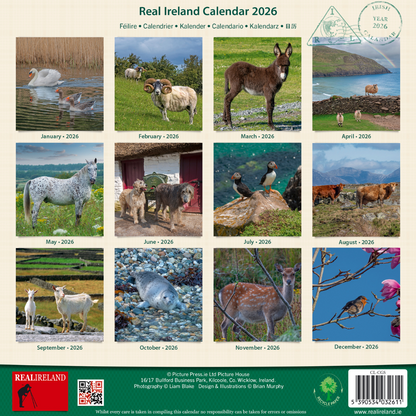 Irish Creatures Great & Small Calendar 2026