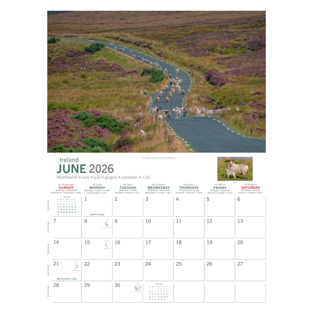 Irish Sheep A4 Calendar 2026