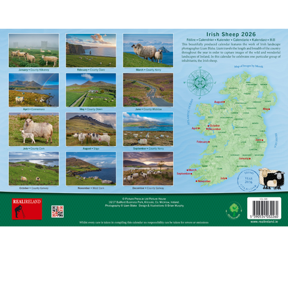 Irish Sheep A4 Calendar 2026