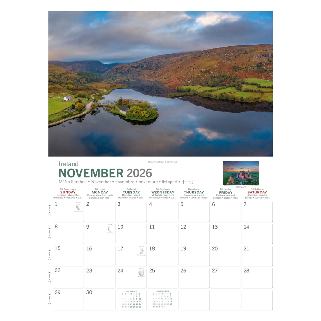 Wild Ireland Birds Eye View A4 Calendar 2026 