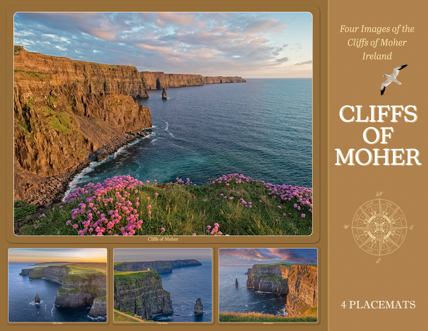 Cliffs of Moher Image Table Placemats