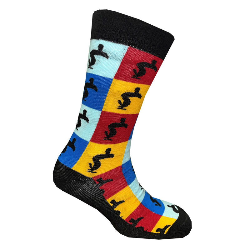Guinness Toucan Color Block Socks