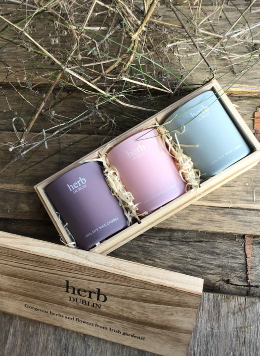 Pastel Trio Candle Set with three soy wax candles in soft purple pink and blue in a wooden gift box with straw filler.
