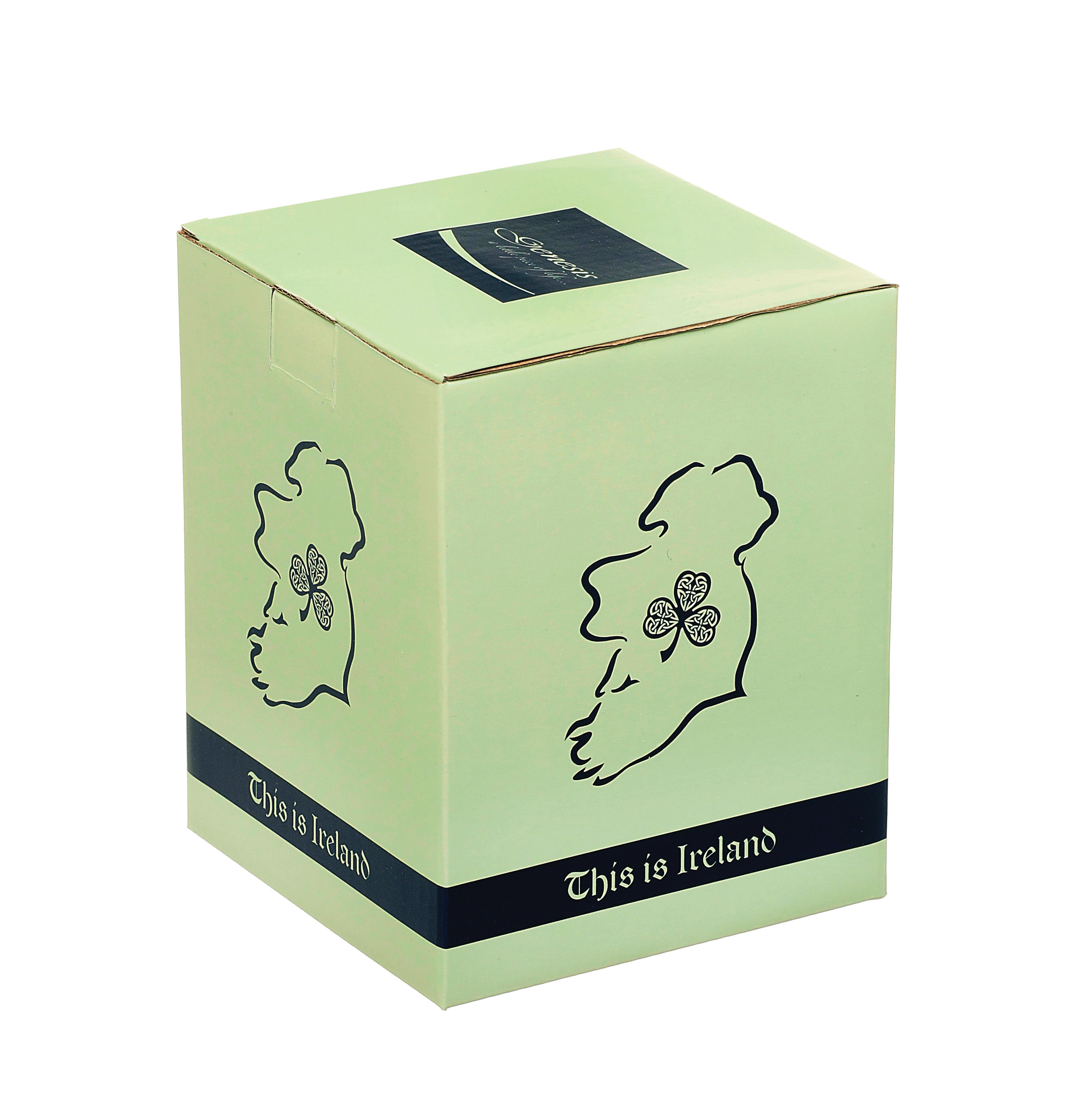 Irish Cottage Snow Globe 