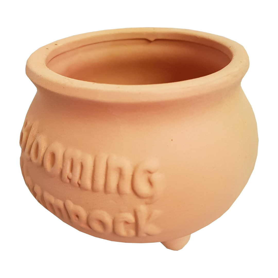 Blooming Shamrock Pot Kit